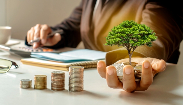 Mutual Funds