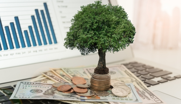 NRI Investments
