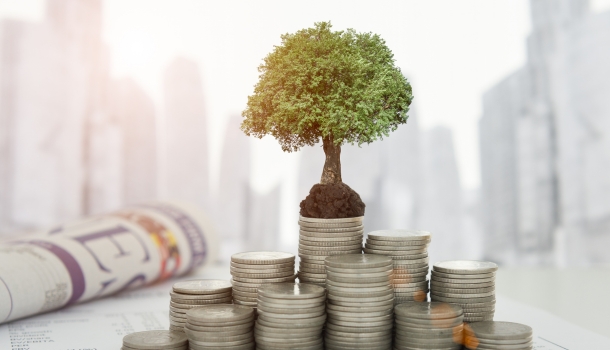Systematic Investment Plans
